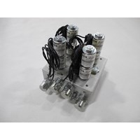 MANIFOLD INCLUDING COILS