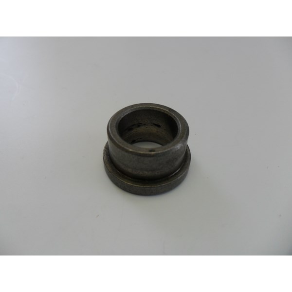 Sintered Iron Bearing (Dl1100)